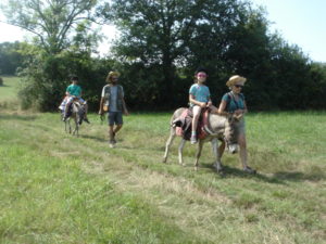 Les enfants sur les ânes en balade accompagnée